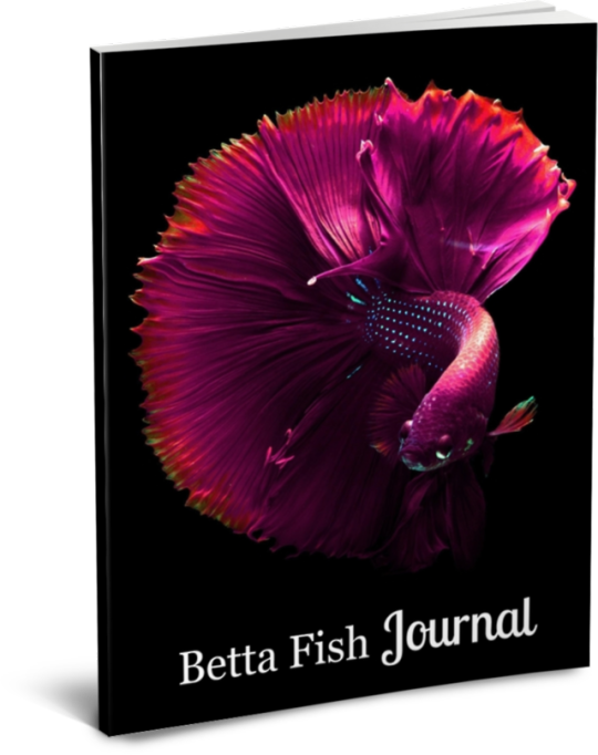 Vibrant Betta Fish Journal Cover PNG