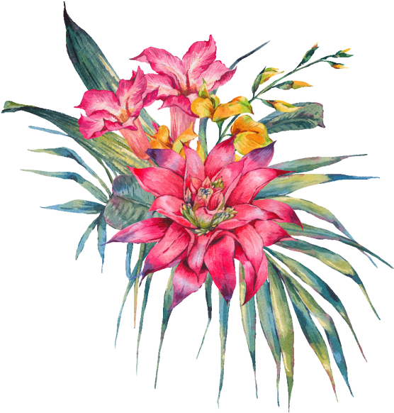 Vibrant Birthday Flower Bouquet PNG