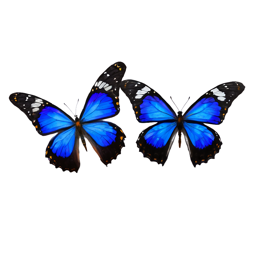 Vibrant Blue Butterflies Png 06132024 PNG