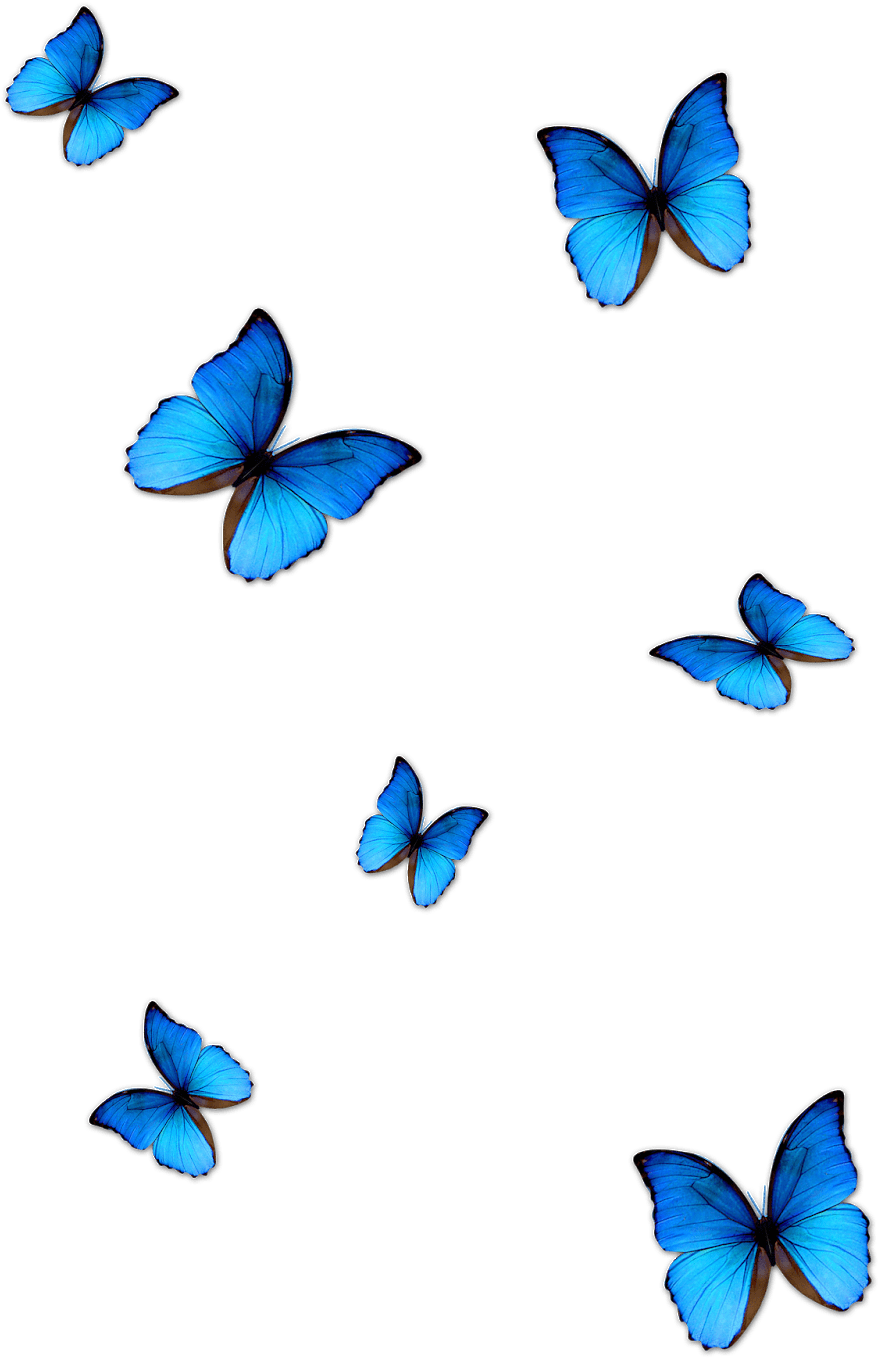 Vibrant Blue Butterflieson Grey PNG