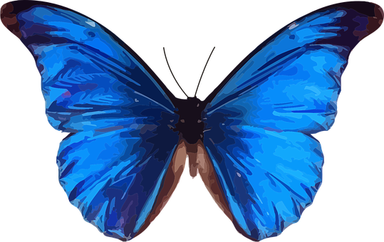 Vibrant Blue Butterfly Art PNG