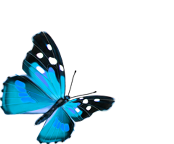 Vibrant Blue Butterfly Graphic PNG