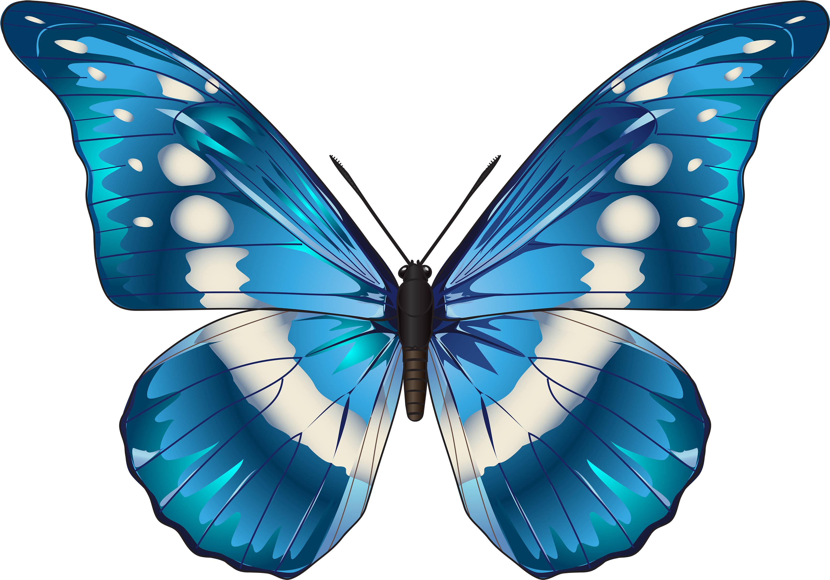 Vibrant Blue Butterfly Illustration PNG