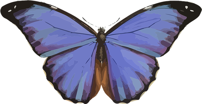 Vibrant_ Blue_ Butterfly_ Illustration PNG