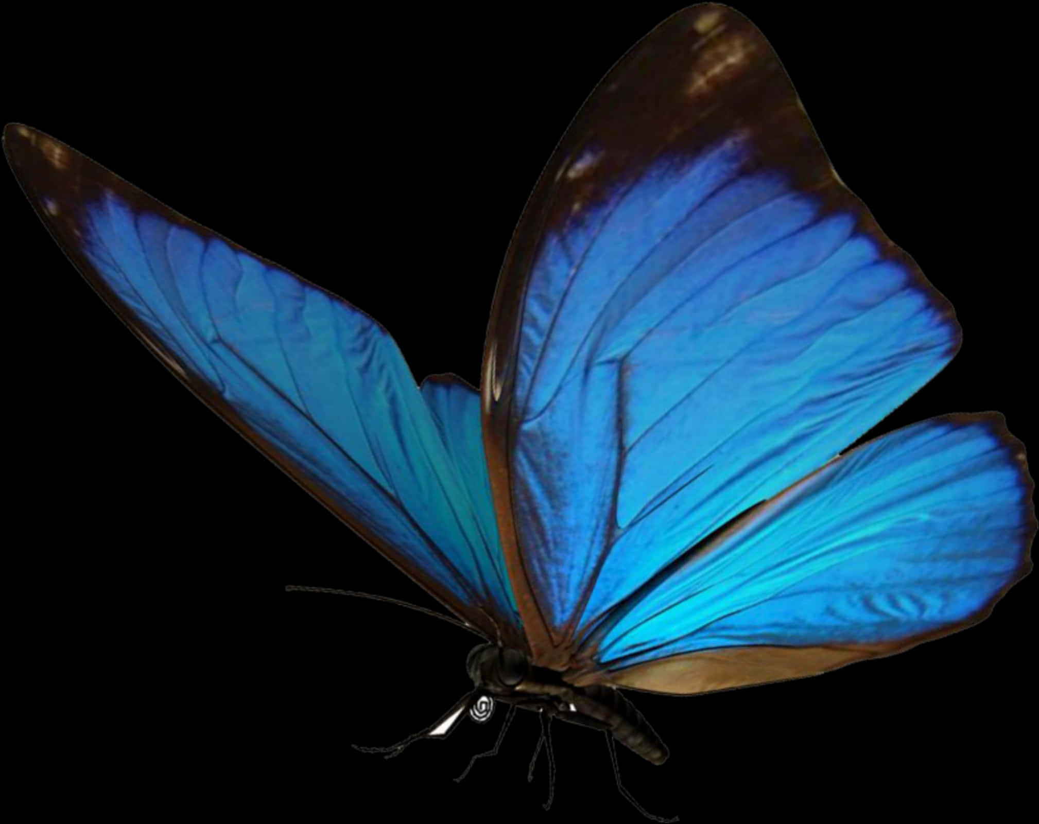 Vibrant Blue Butterfly Isolated PNG