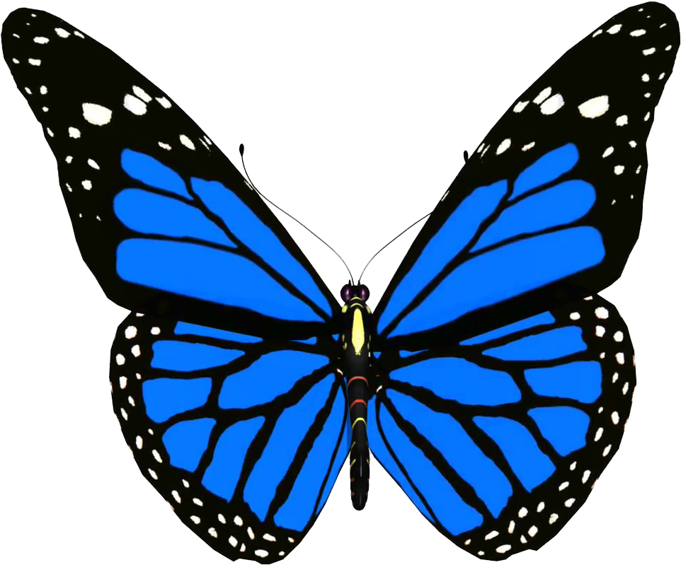 Vibrant Blue Butterfly.png PNG