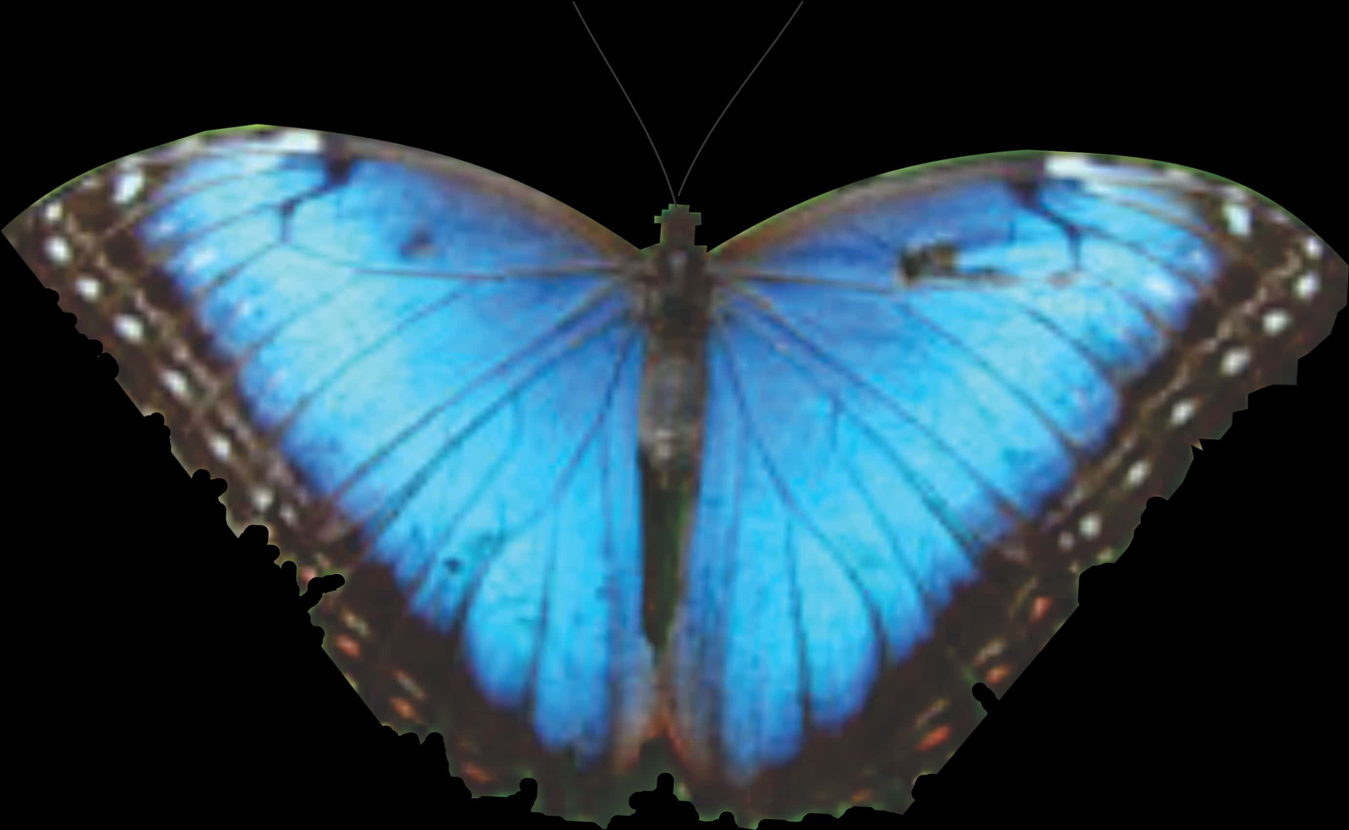 Vibrant Blue Butterfly Spread Wings PNG