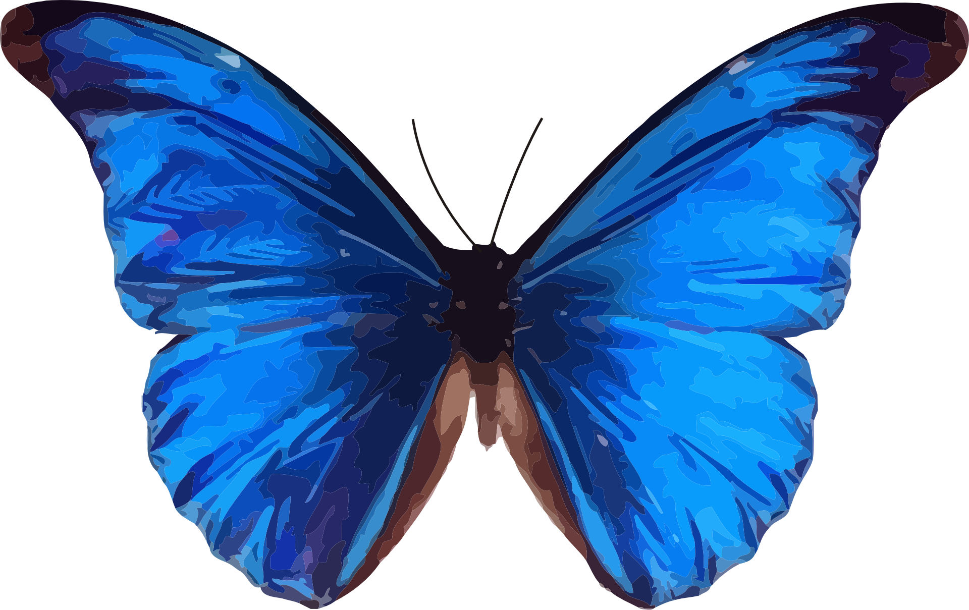 Download Vibrant_ Blue_ Butterfly_ Vector_ Art.png | Wallpapers.com