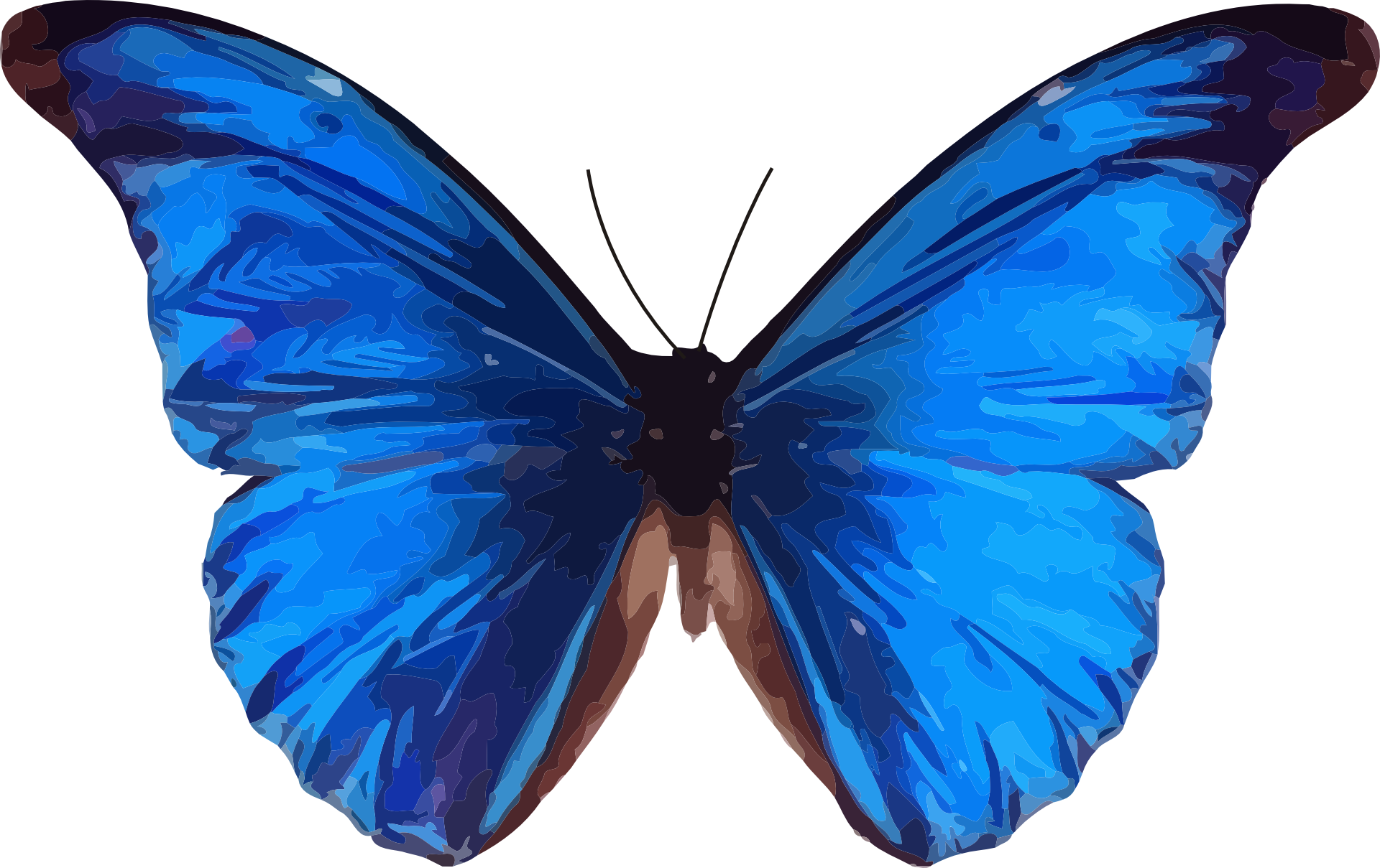 Vibrant_ Blue_ Butterfly_ Vector_ Art.png PNG