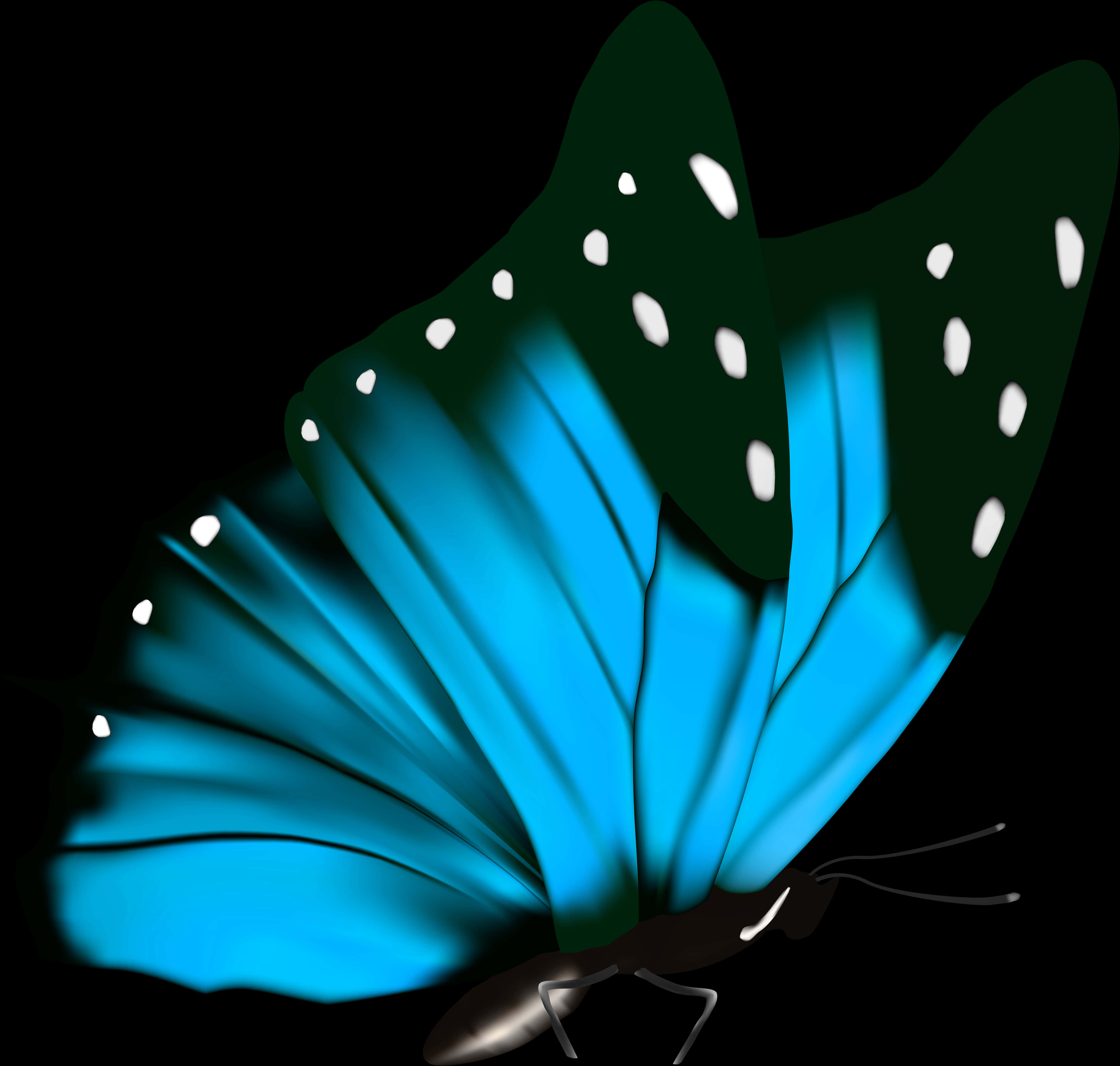Vibrant Blue Butterflyon Black PNG