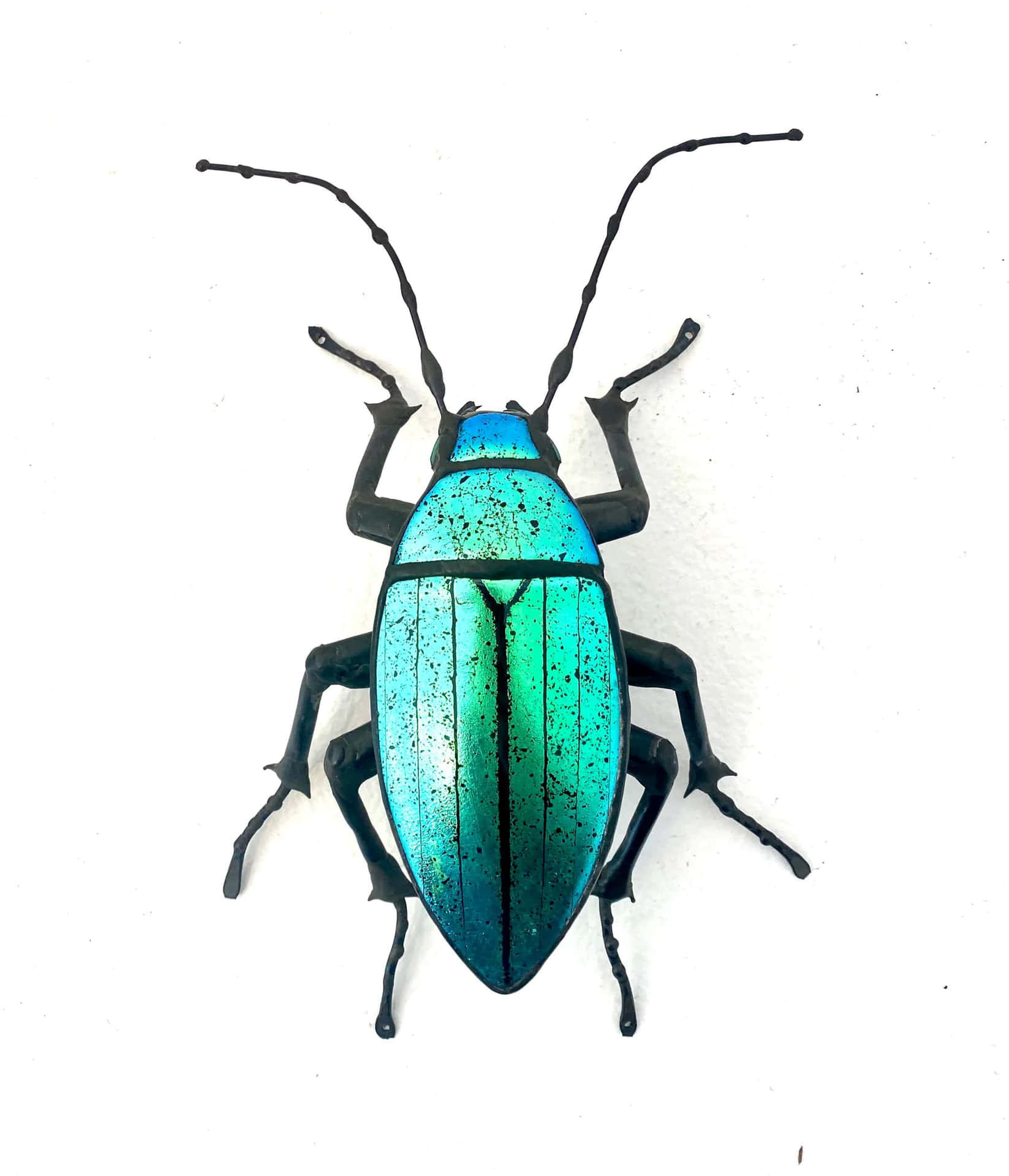 Vibrant Blue Click Beetle Wallpaper