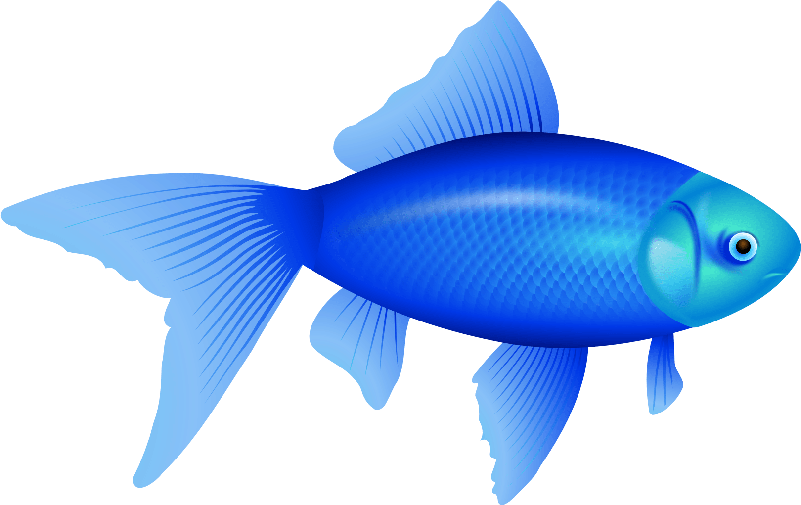 Vibrant_ Blue_ Fish_ Illustration.png PNG