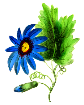Vibrant Blue Flower Illustration PNG