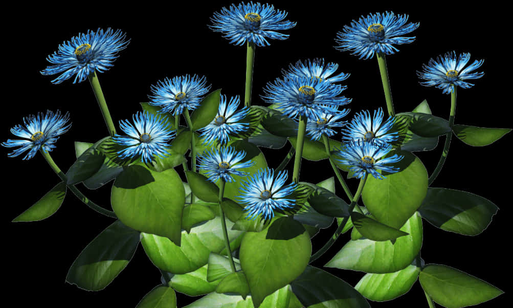 Vibrant Blue Flowers Against Black Background.jpg PNG