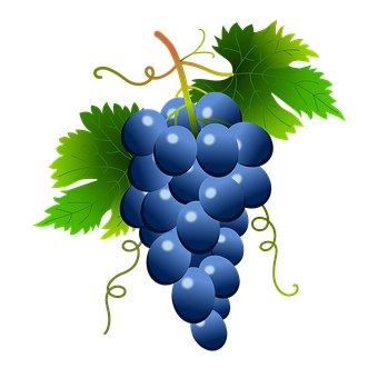 Vibrant_ Blue_ Grapes_ Vector PNG