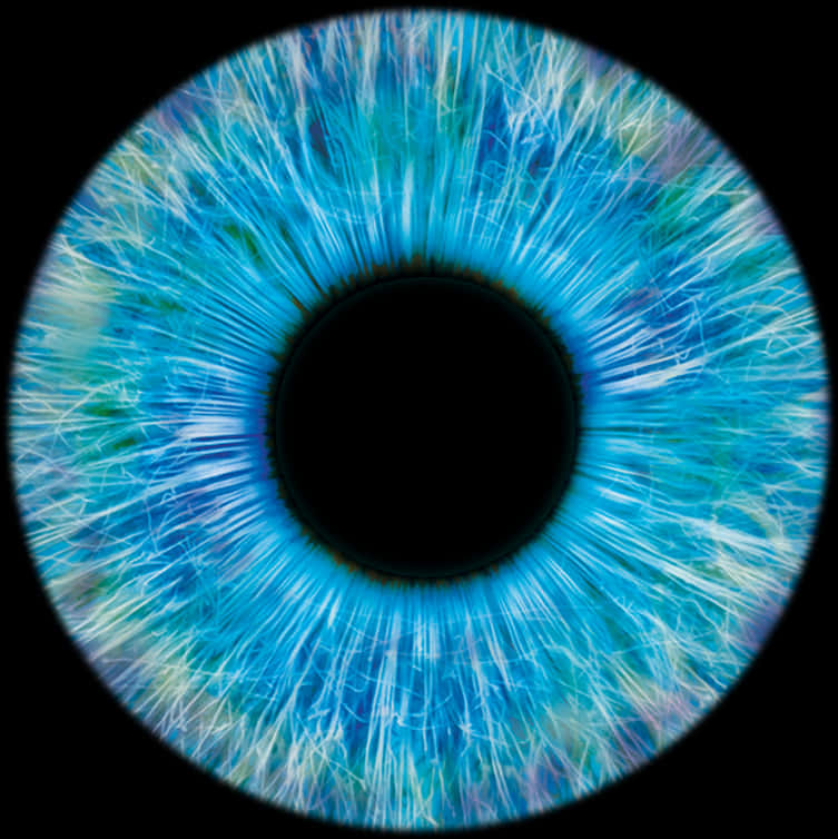 Vibrant Blue Human Iris Closeup PNG