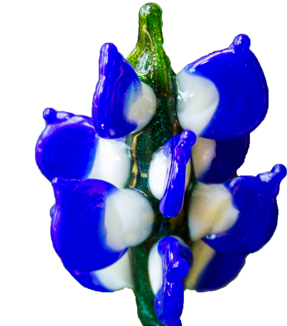 Vibrant Blue Hyacinth Blossom PNG