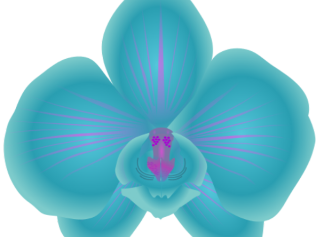 Vibrant Blue Orchid Illustration PNG