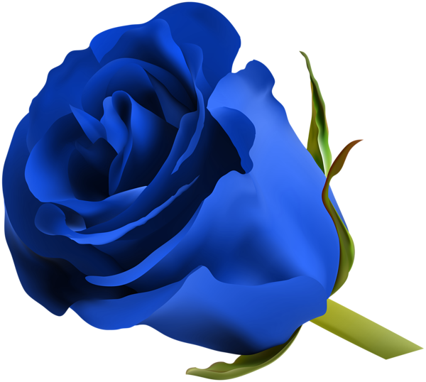 Vibrant Blue Rose Graphic PNG