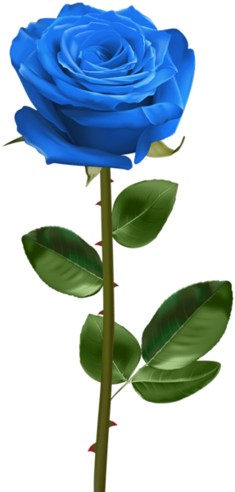 Vibrant Blue Rose Stem PNG