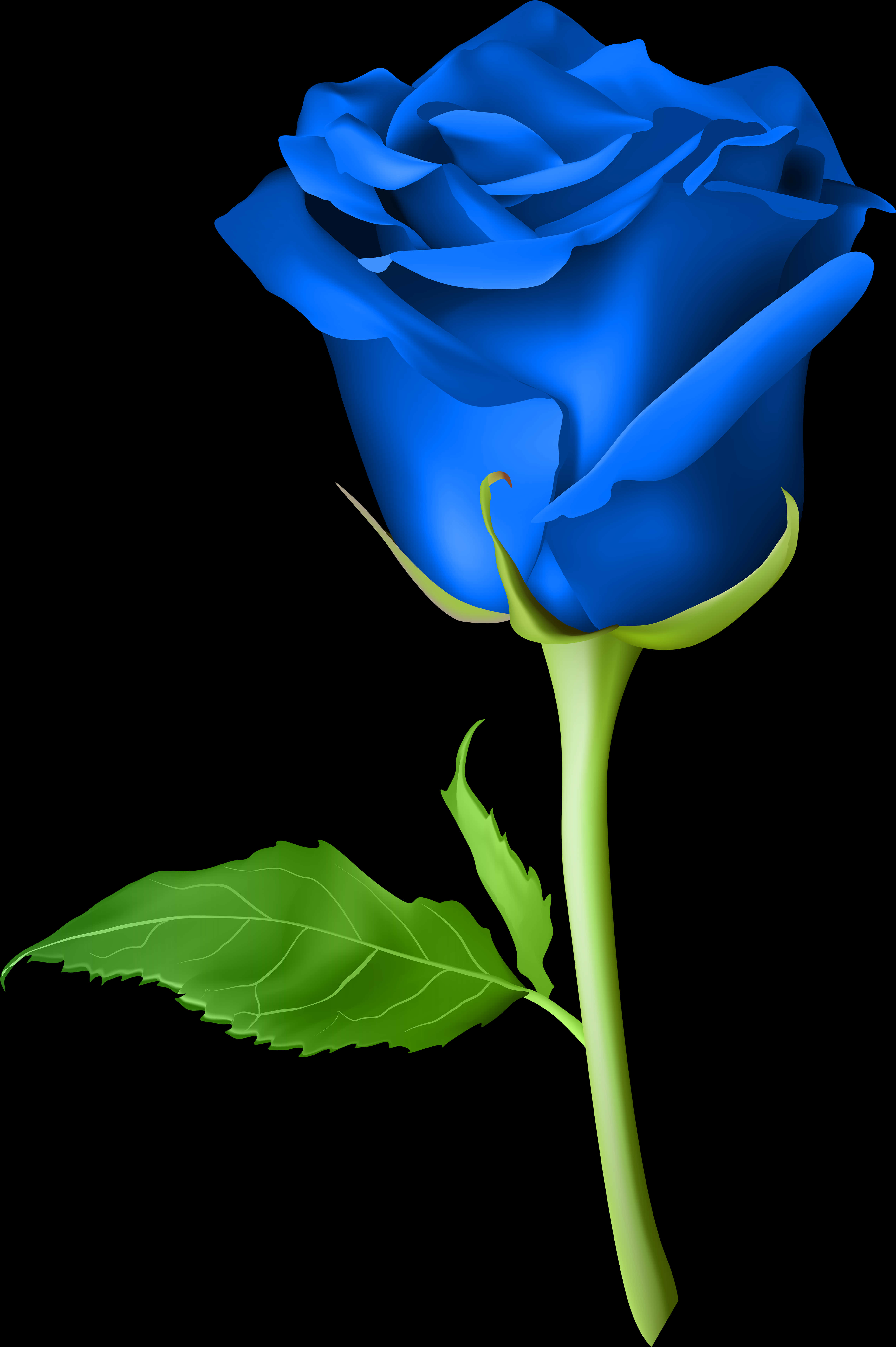 Vibrant Blue Roseon Black Background PNG