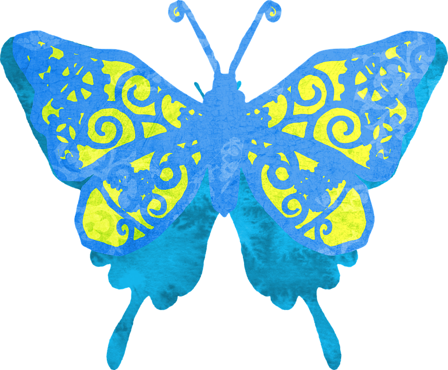Vibrant Blue Yellow Patterned Butterfly PNG