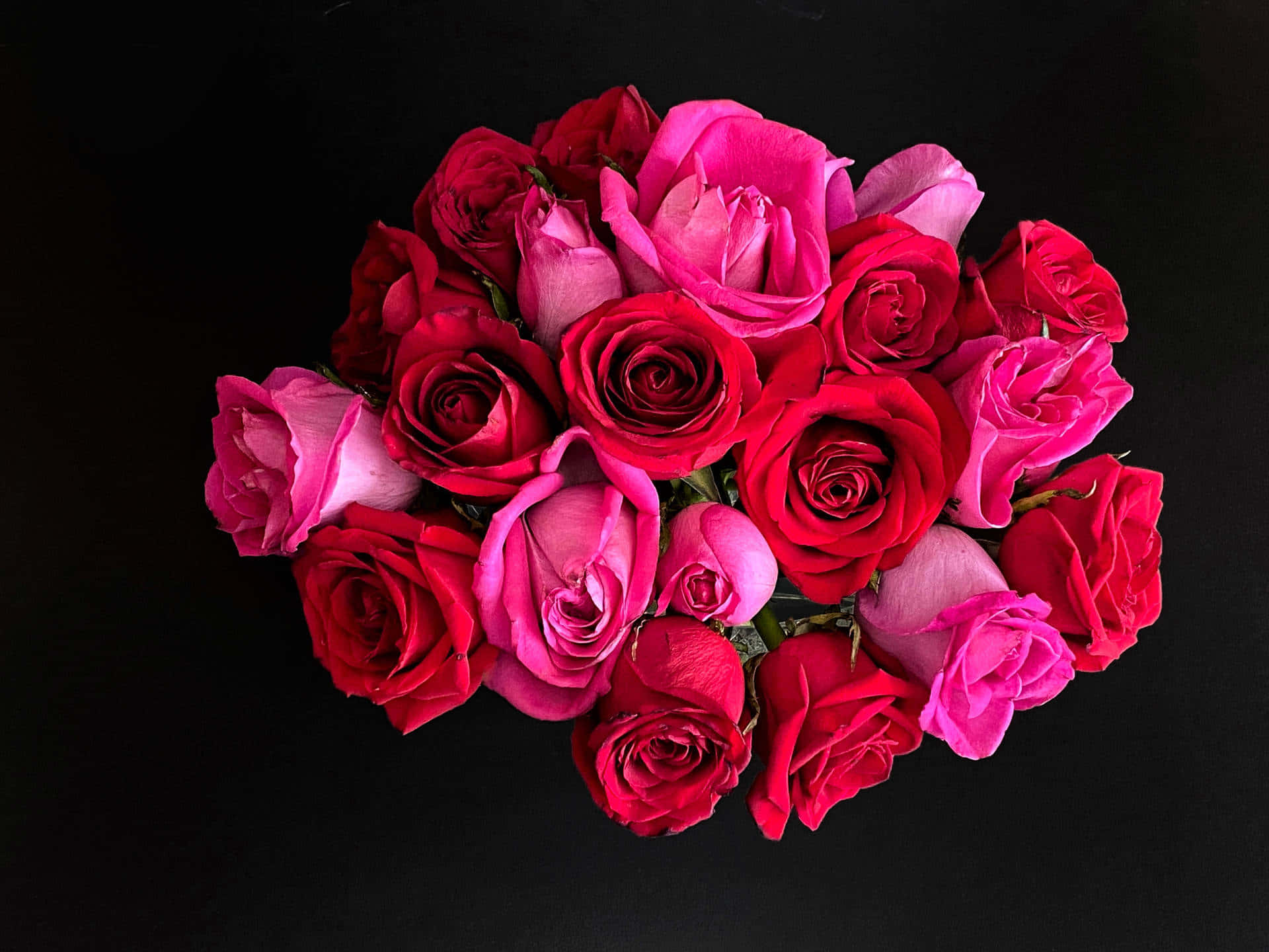 Vibrant_ Bouquet_of_ Dark_ Pink_ Roses.jpg Wallpaper