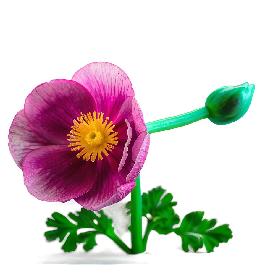 Vibrant Buttercup Png Rii62 PNG