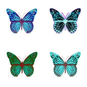 Vibrant Butterfly Collection PNG
