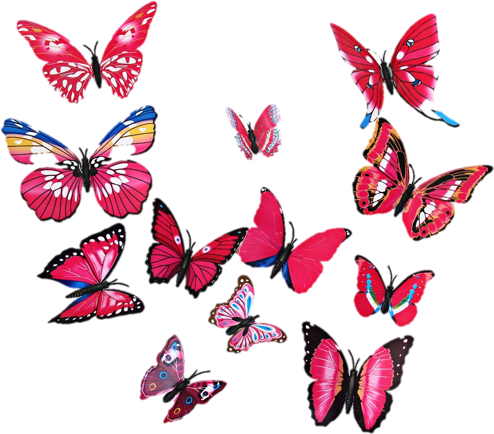 Vibrant Butterfly Collection Wall Art PNG