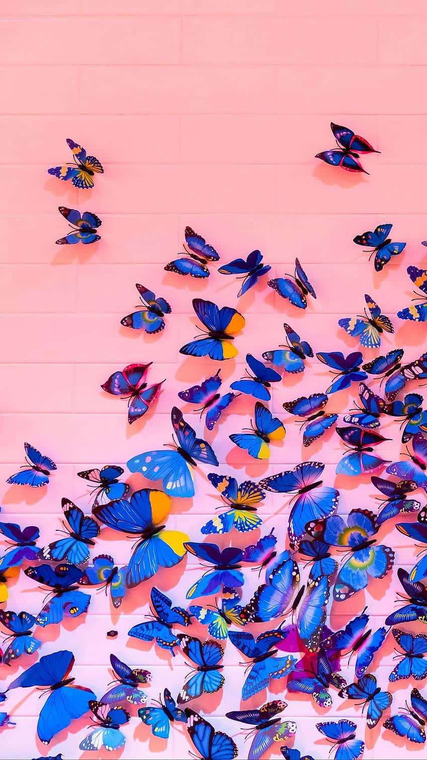 Vibrant Butterfly Wall Art.jpg Wallpaper