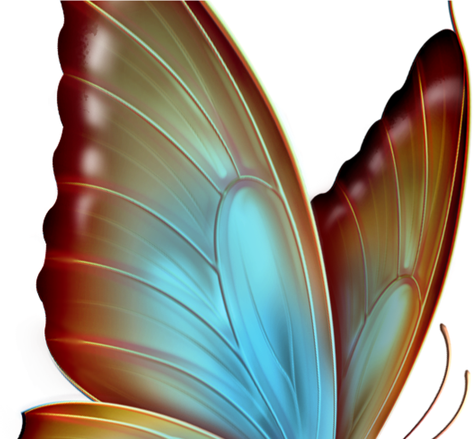 Vibrant Butterfly Wing Transparent Background.png PNG