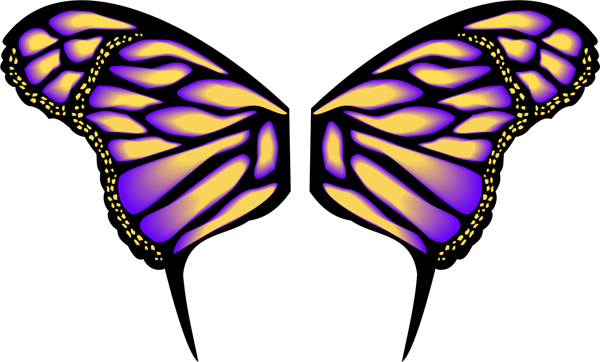 Vibrant Butterfly Wings Vector PNG