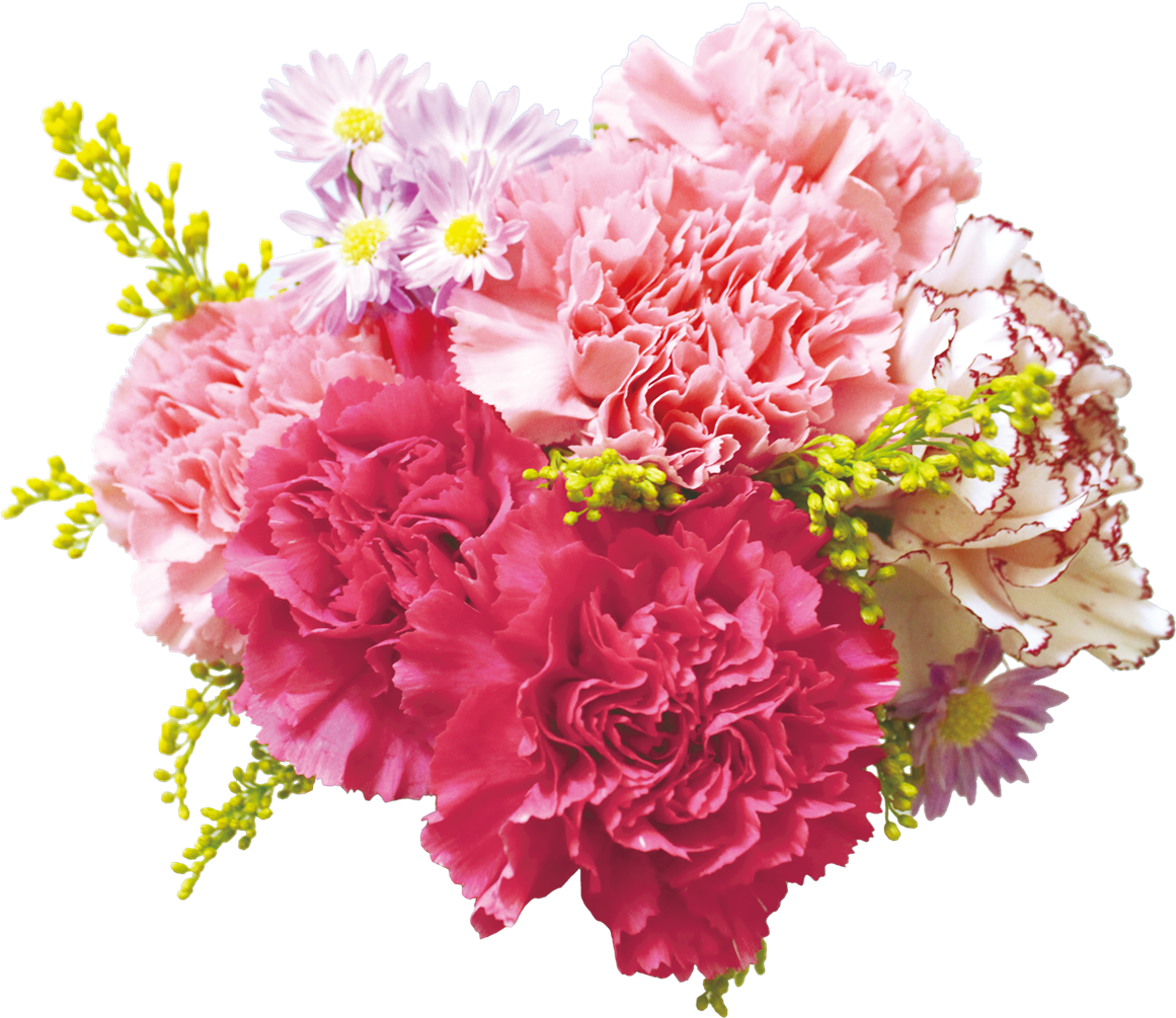 Vibrant Carnation Bouquet PNG