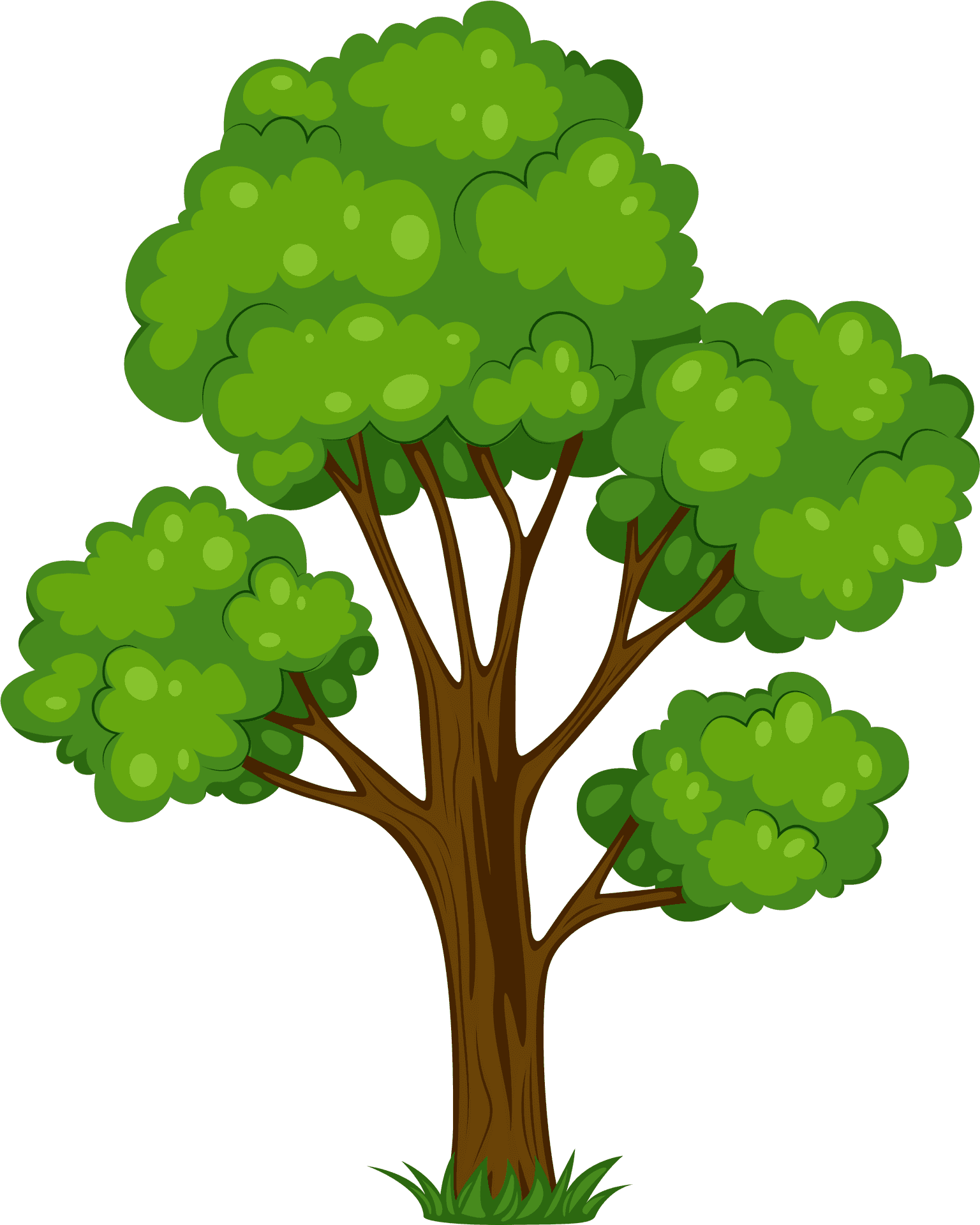 Vibrant Cartoon Tree PNG