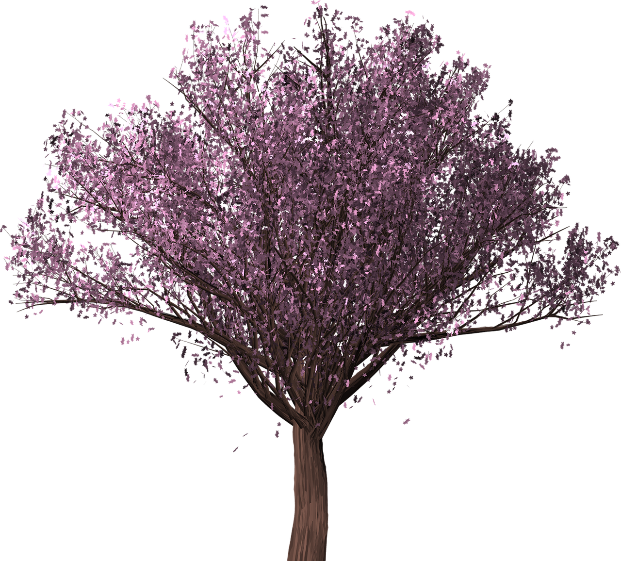 Vibrant Cherry Blossom Tree PNG