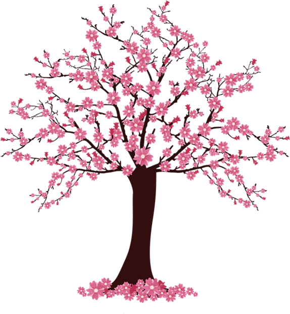 Vibrant Cherry Blossom Tree Illustration PNG