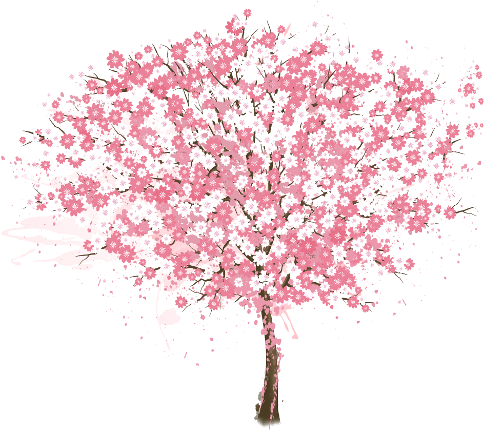 Vibrant Cherry Blossom Tree PNG