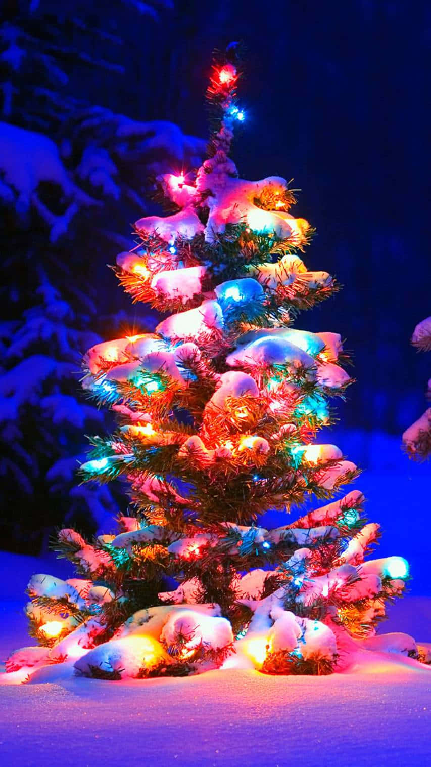 Vibrant Christmas Tree Snowy Night.jpg Wallpaper