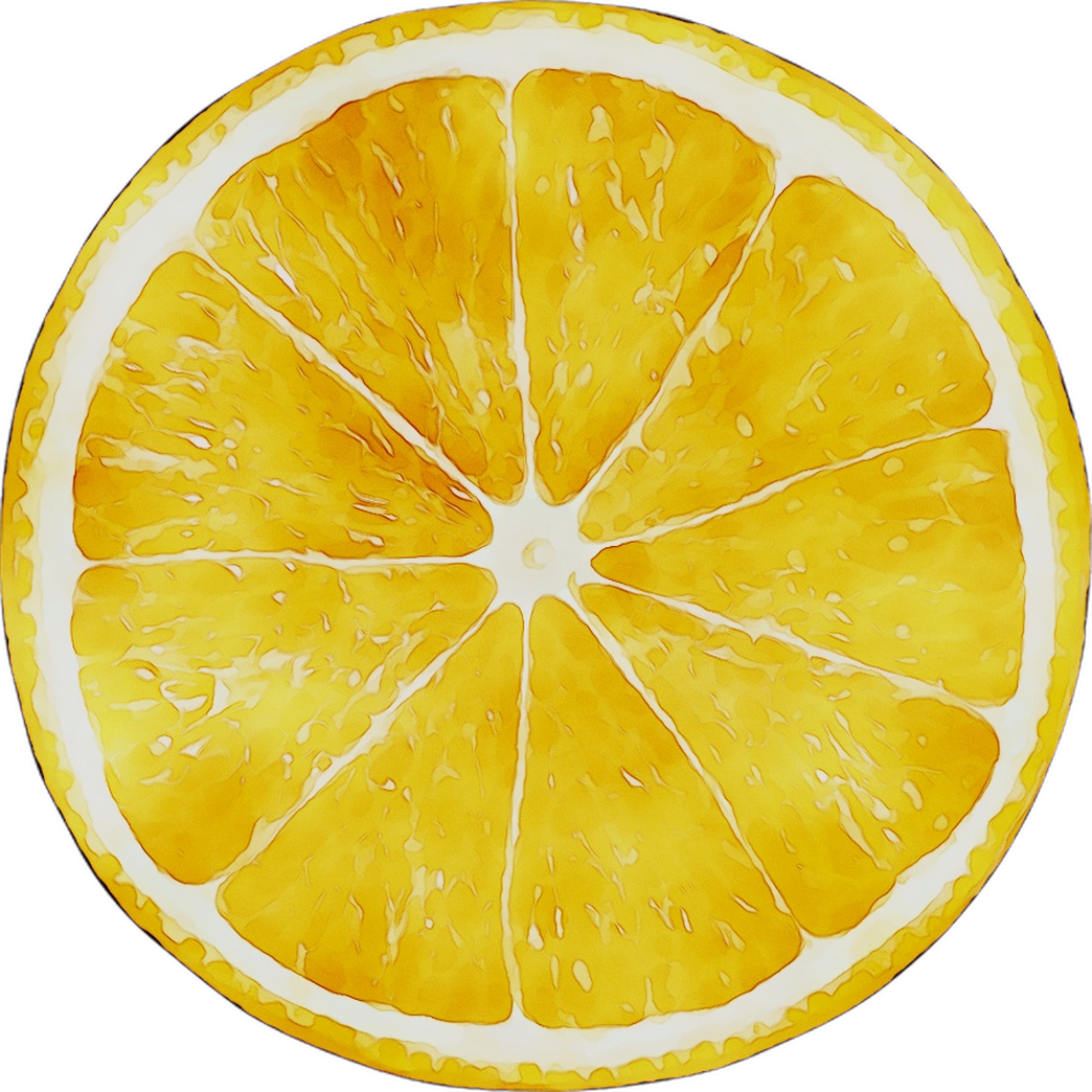Vibrant Citrus Slice PNG