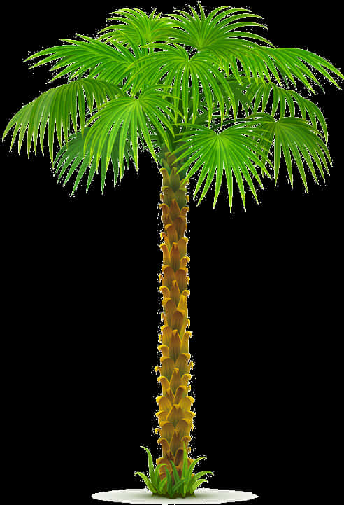 Vibrant Coconut Tree Graphic PNG