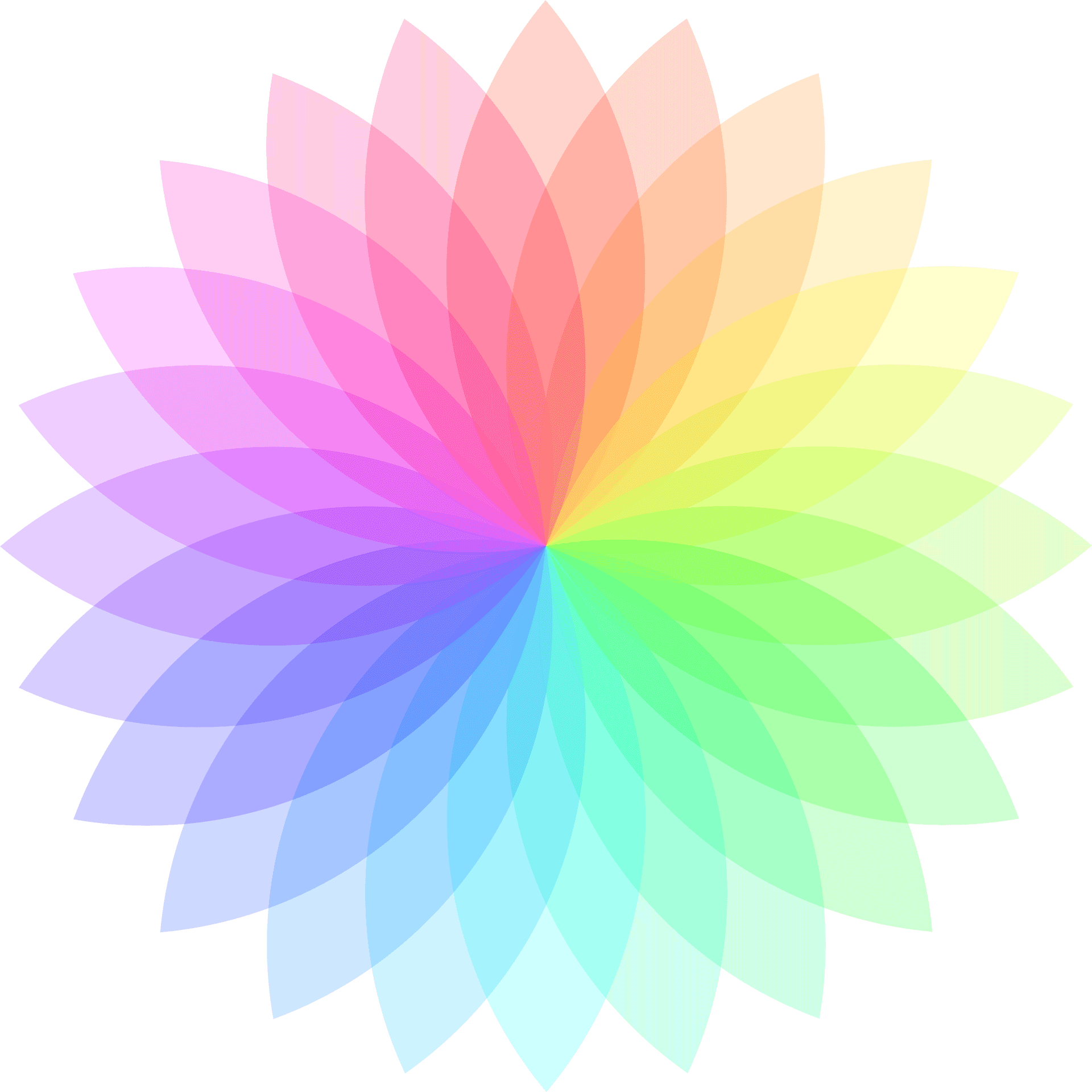 Vibrant Color Wheel Graphic PNG