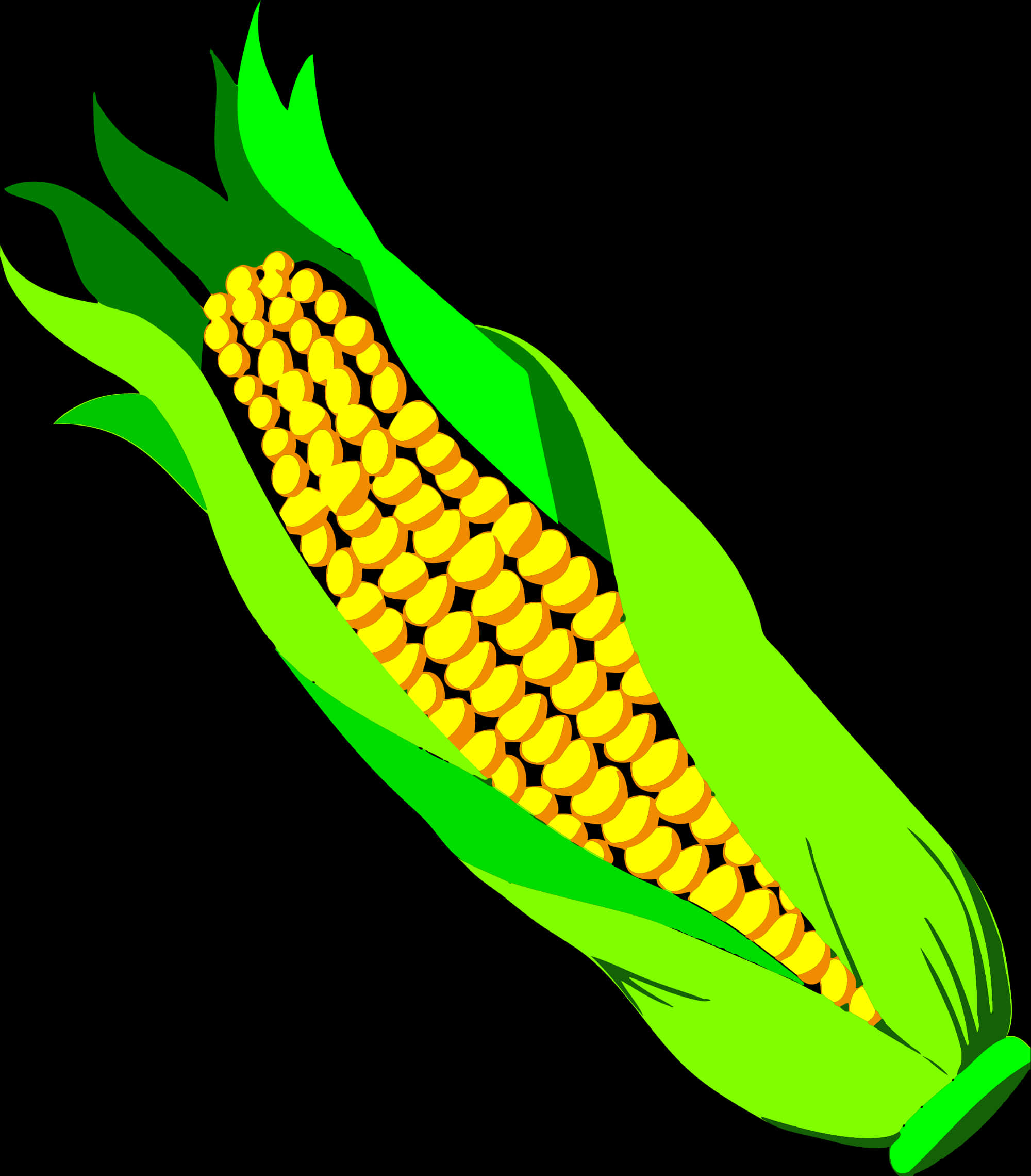 Vibrant Corn Cob Illustration PNG
