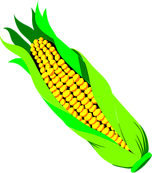 Vibrant Corn Illustration PNG