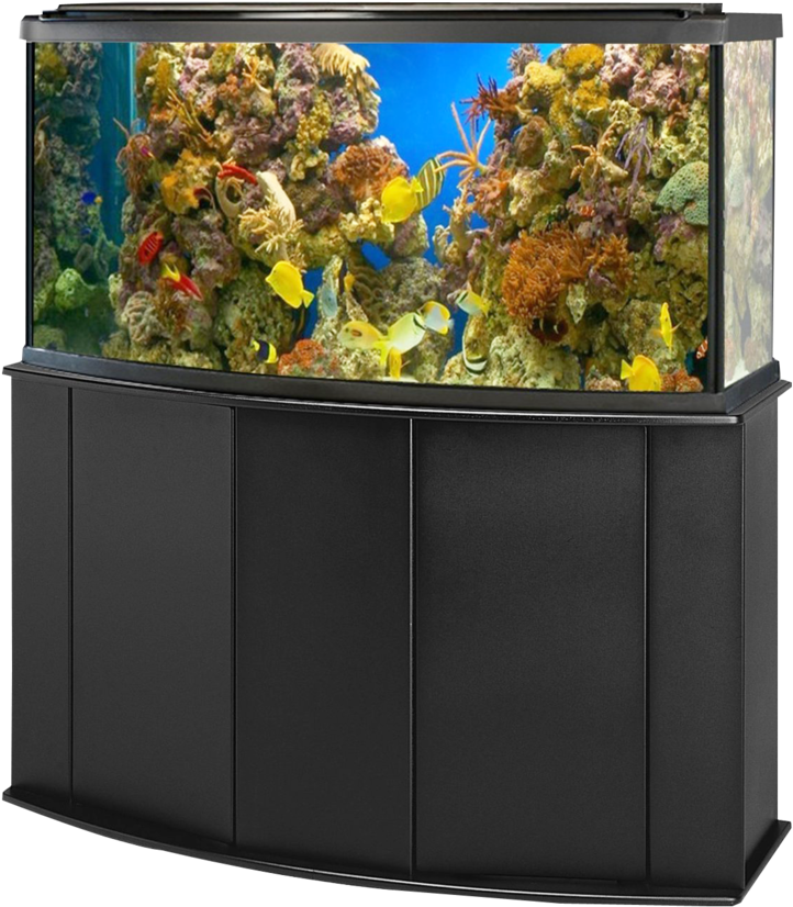 Vibrant Corner Aquarium Setup PNG