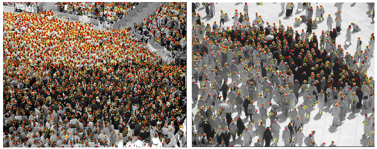 Vibrant Crowd Selective Color PNG