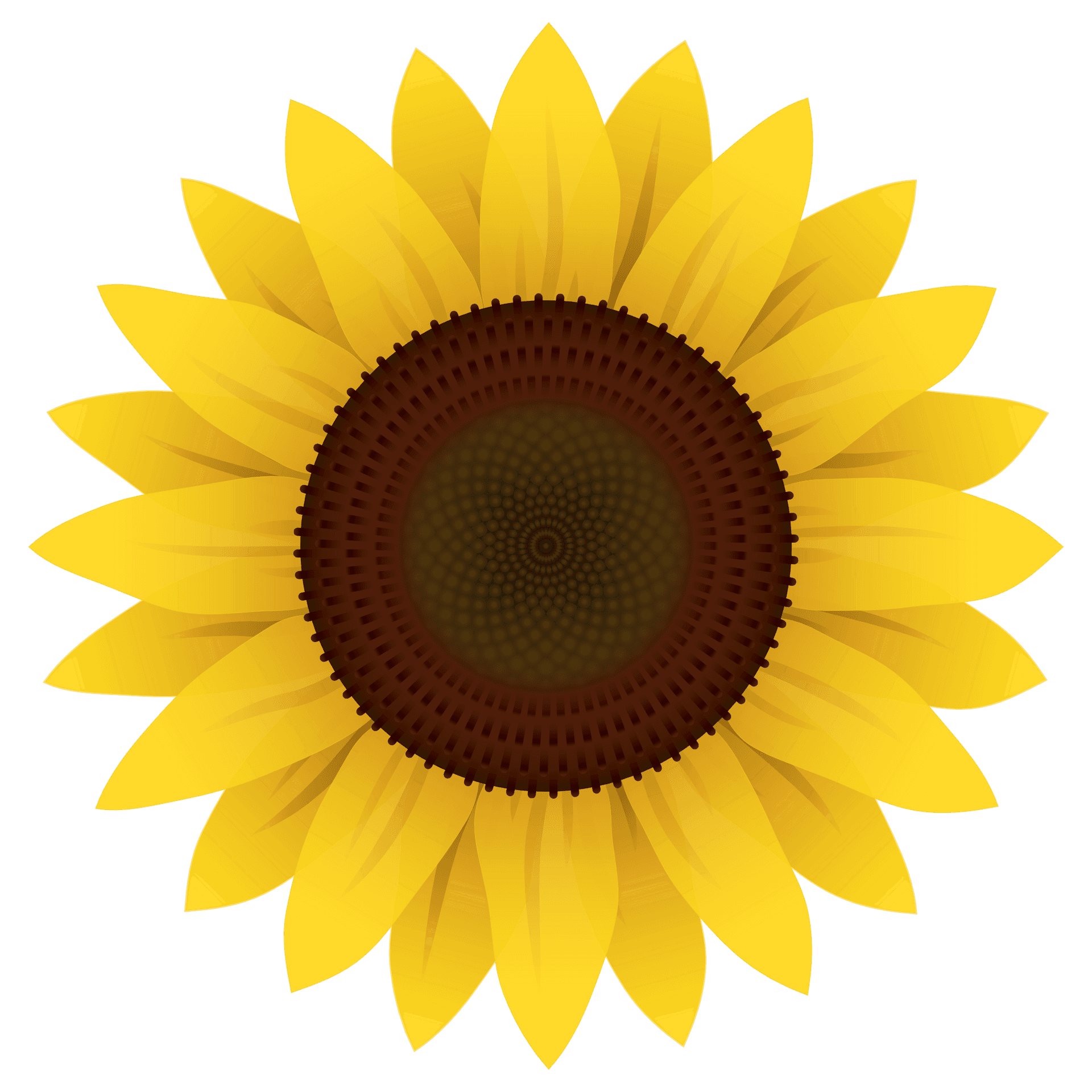 Vibrant Digital Sunflower Art PNG