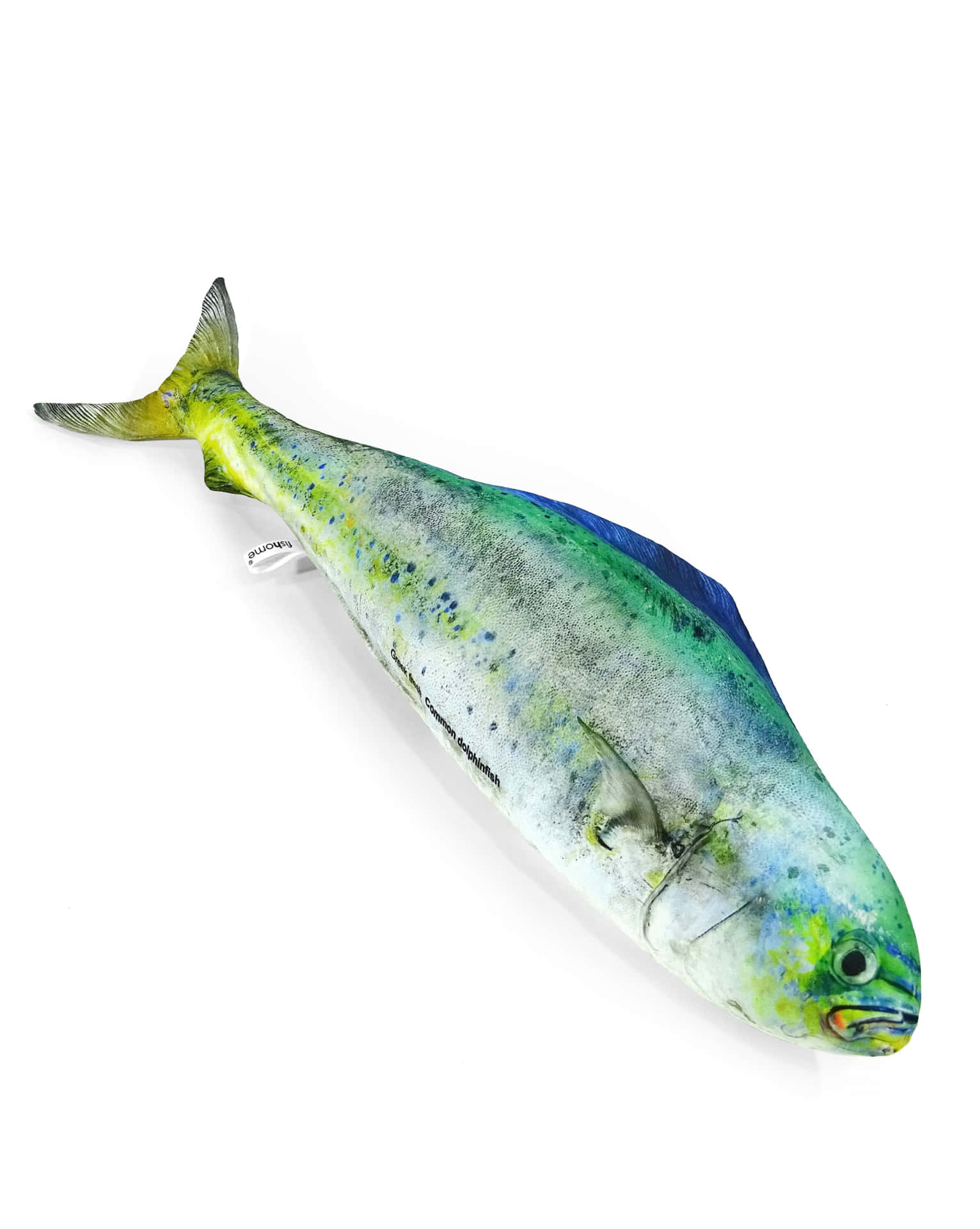 Vibrant Dolphinfish Isolated Wallpaper
