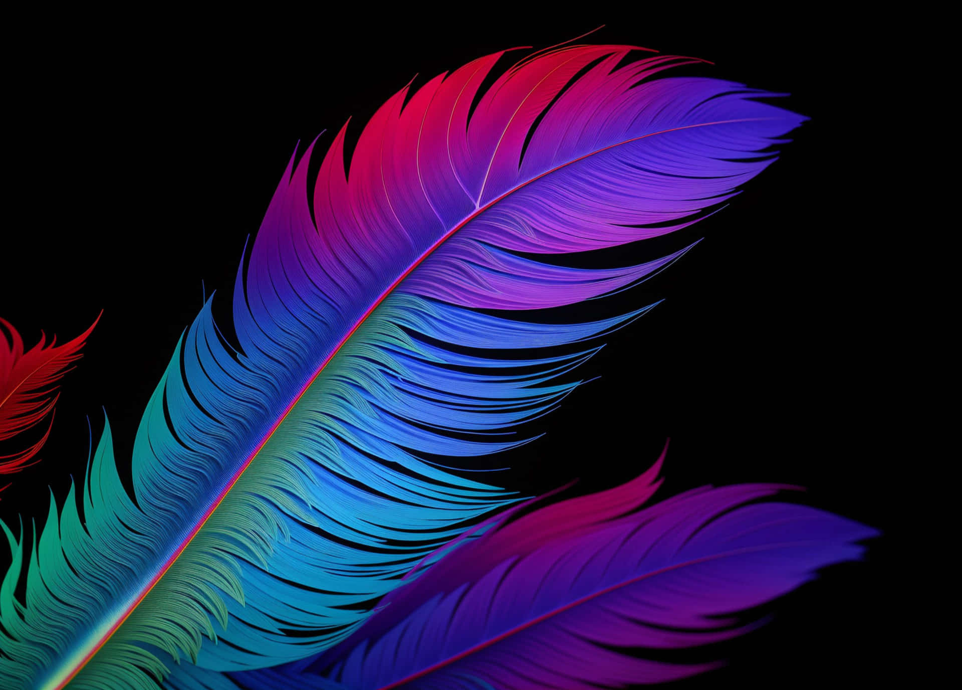 Vibrant Feather Artwork Wallpaper
