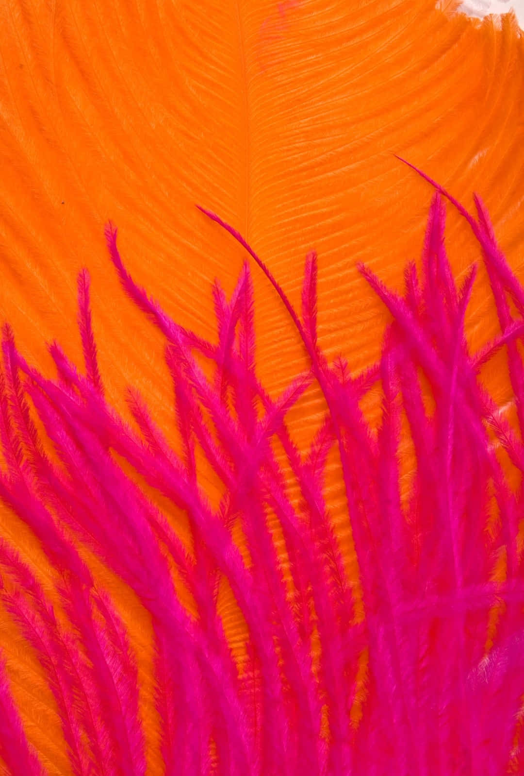 Vibrant Feather Texture Pink Orange Wallpaper
